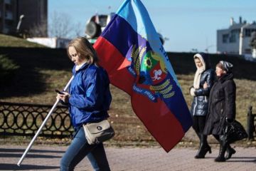 Почему Киев струсит провести выборы в Донбассе, доходчиво объяснил юрист