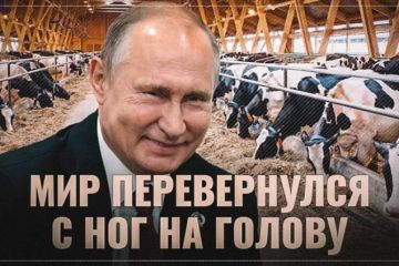 Мир перевернулся с ног на голову: Россия начала поставки говядины в Бразилию