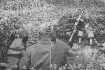 Немецкий генерал: ночь не спишь — следишь, а утром оказывается, что советские солдаты окопались у тебя в тылу (Видео)