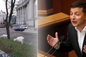 "Подарок" украинцам от Зеленского: период бедности закончился, впереди - нищета