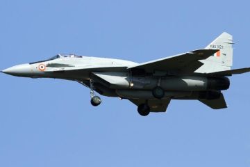 Птицы сбили МиГ-29К