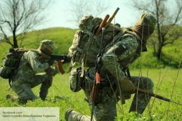 Спецслужбы ДНР и ЛНР предупредили жителей Донбасса об активизации ДРГ Украины
