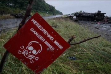 Украина вошла в топ-5 самых заминированных стран мира