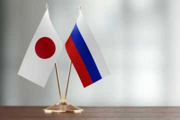 Шагом к мирному договору РФ и Японии станут реальные экономические проекты на Курилах
