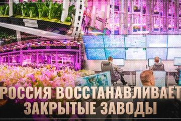 В Москве открылась крупнейшая в мире вертикальная теплица