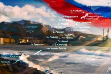 В Госдуме объяснили, почему мирный договор с Японией ничего не значит для РФ