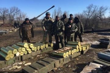 Белград не хочет ссориться с Россией, поэтому признал наличие сербского оружие у ВСУ