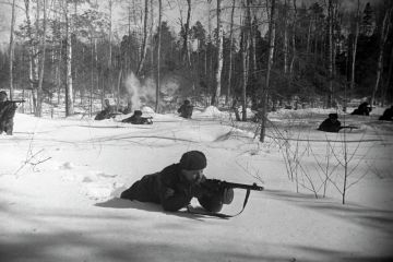 Мрачная решимость: что пишут о Битве за Москву в США