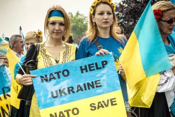 Украину обрекли на бесконечные попытки вступления в НАТО