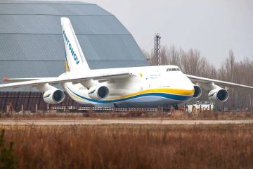 Американские СМИ разобрались, зачем Китай скупает украинские заводы