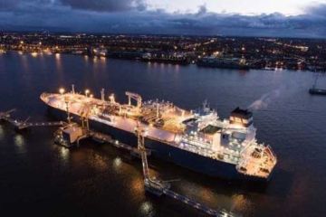 Белый слон независимости