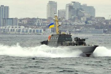 Поступившие от четырех стран требования к РФ по Украине сравнили с «лаем Моськи на слона»