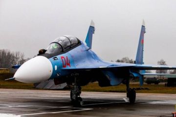 Белорусы взбунтовались против Су-30СМ и хотят заменить на американскую технику