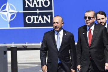 Эрдоган опять разозлил Кремль, сыграв с Москвой в «кошки-мышки»