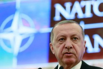 Эрдоган и Макрон отправят НАТО на свалку истории