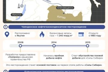 Запуском «Силы Сибири» Путин и Си Цзиньпин закрепили союзный курс РФ и Китая