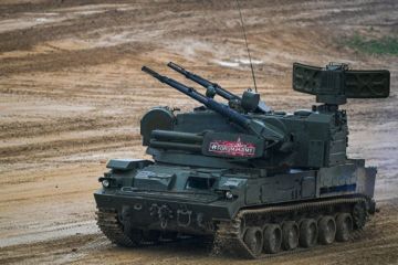 TNI: грозная российская «Тунгуска» малозаметна после модернизации