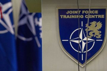 Реформы Шойгу превратили стратегии Запада в бессмысленное раздувание бюджета НАТО