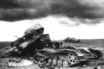 «Тигры», «Пантеры» и «Ворчуны»: насколько себя оправдали новые немецкие машины в Курской битве