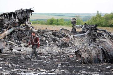 Малайзийский "Боинг" сбили украинские добровольцы