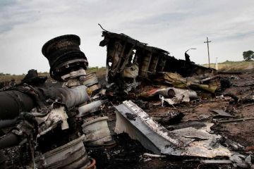 Вскрылась правда о сбившем "Боинг" украинском истребителе