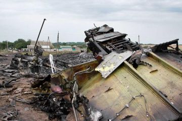 Претензии Нидерландов к России по МН17 назвали необоснованными