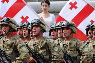 Армия, которой не было. В Грузии разгорается неслабый скандал