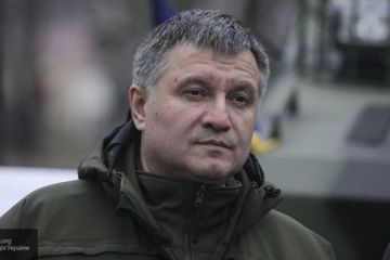Аваков хочет «зачистить» ДНР и ЛНР от ополчения Донбасса