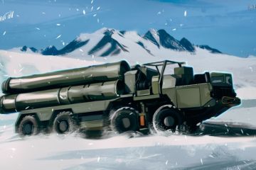 Эксперт рассказала, какой сигнал Шойгу посылает НАТО с помощью С-400