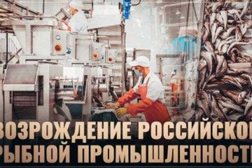 Бум в рыбной промышленности. Огромные заводы строят по всей России