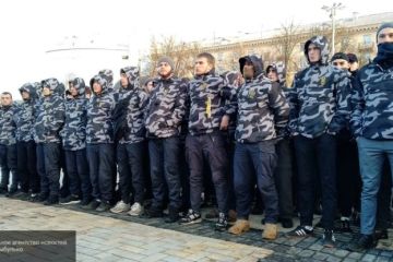 Украинские националисты хотят устроить «ночь длинных ножей» для «слуг народа»