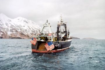 Американские СМИ рассказали о природном катаклизме, который убивает рыбу на Аляске