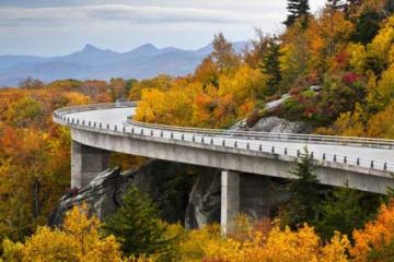 Поездка в Северную Каролину (Эшвиль). Лучше бы дома сидела- одного вечера мне хватило