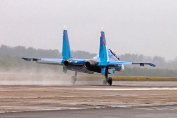 Белоруссия пожалела о покупке российских Су-30