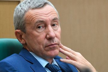 Сенатор усомнился, что Франция может претендовать на влияние в Сирии