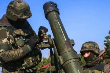 Радикалы «Нацкорпуса» пытались доставить в Киев тяжелые минометы «Молот»