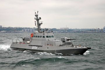 Новые украинские стелс-катера признали практически небоеспособными