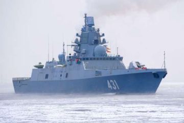 «Побочный эффект испытаний»: Норвегия оказалась в «ловушке» Северного Флота