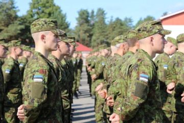 Бронебалтика: как Эстония, Латвия и Финляндия «укрепят тылы»