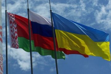 Куда приводит чрезмерный прагматизм с собратьями по большой России