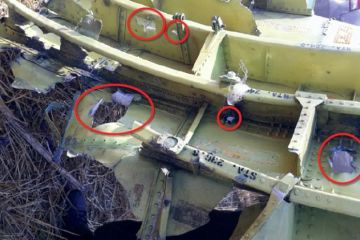 Спутники США "видели" крушение MH17, но "Пентагон сразу всё засекретил" - соцсети дали подсказку Голландии