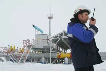 Успеет ли "Газпром" спасти Германию. Сергей Савчук