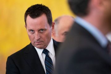 У Германии появился шанс избавиться от одиозного американского посла