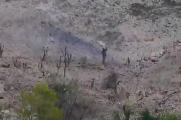 США взяли ответственность за исторический теракт в Афганистане – стали известны последствия атаки 2017 года