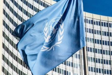 США против российской резолюции в ООН, так как считают интернет своим, уверены в Совфеде