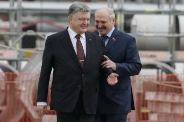 «Батька ступил на скользкую дорожку гражданина Януковича» – Платошкин