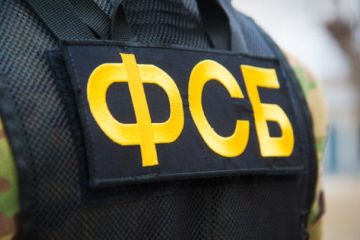 ФСБ задержала готовивших теракты на новогодние праздники россиян