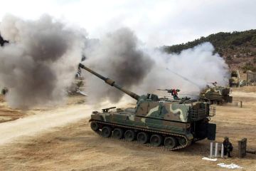 Турция атаковала сирийские войска на севере страны: есть убитые