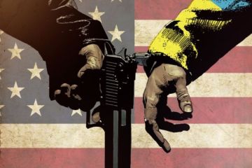 В Госдуме объяснили, как США разрушили Украину