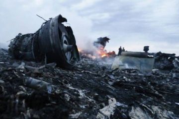 Нидерланды готовы признать вину Украины в крушении MH-17 из-за «Северного потока»